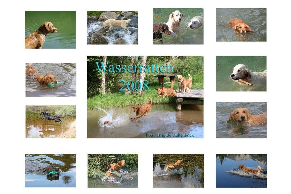 Index_Kalender_ Wasserratten